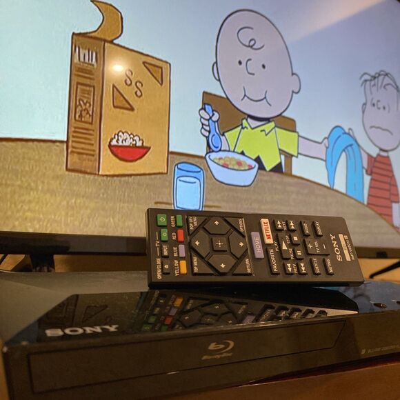 Sony Other - Sony BDP-S2100 Blu-ray Disc DVD Player HDMI Complete Working with Remote